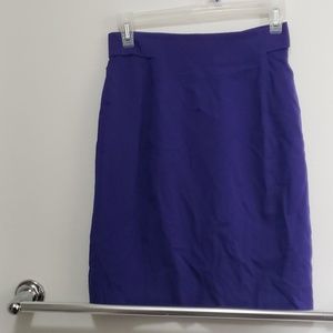 NWOT Beautiful purple skirt